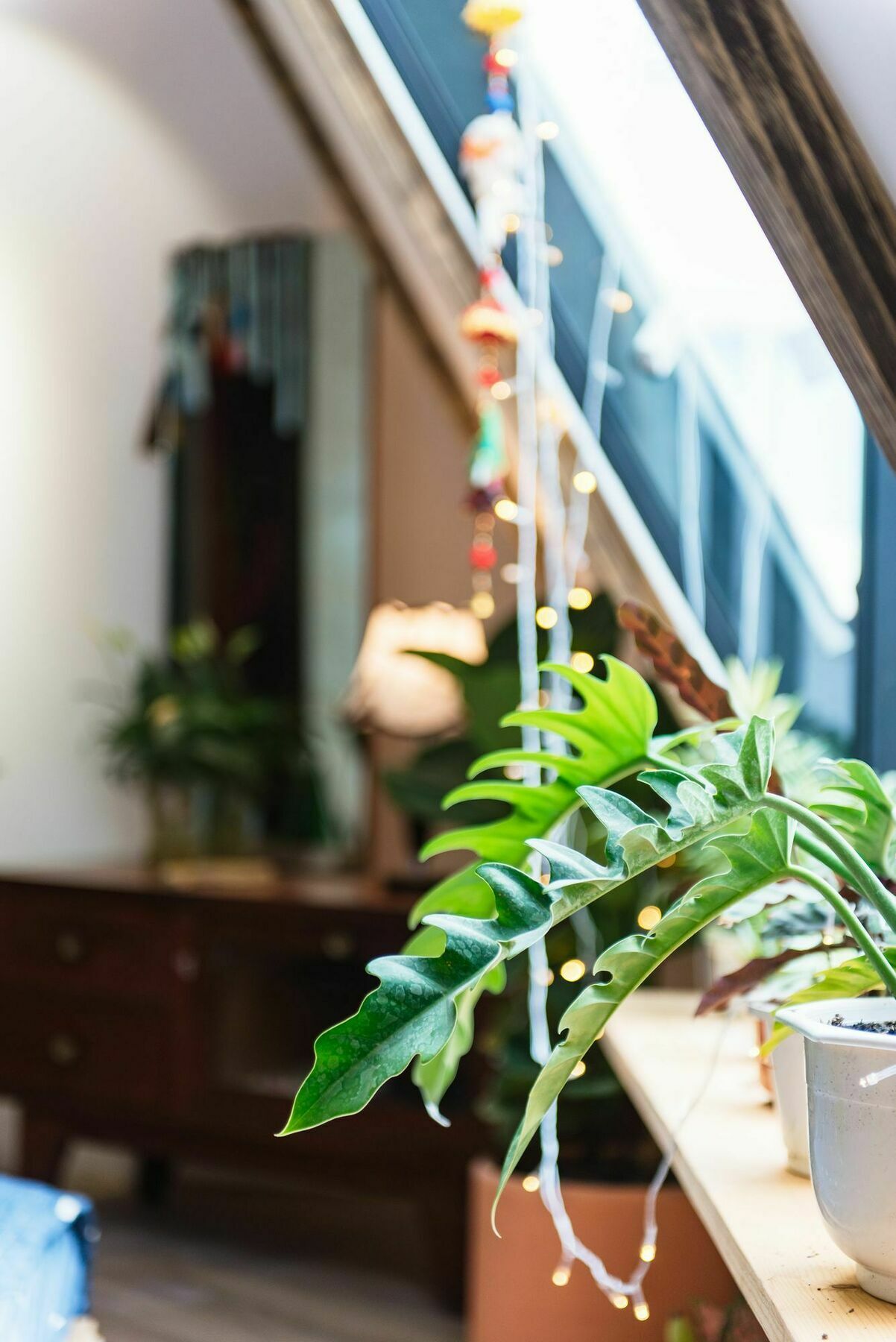 My Homies In Saigon Hotel Ho Chi Minh City Exterior photo